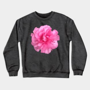 Pink Ranunculus Close-up Pic Crewneck Sweatshirt